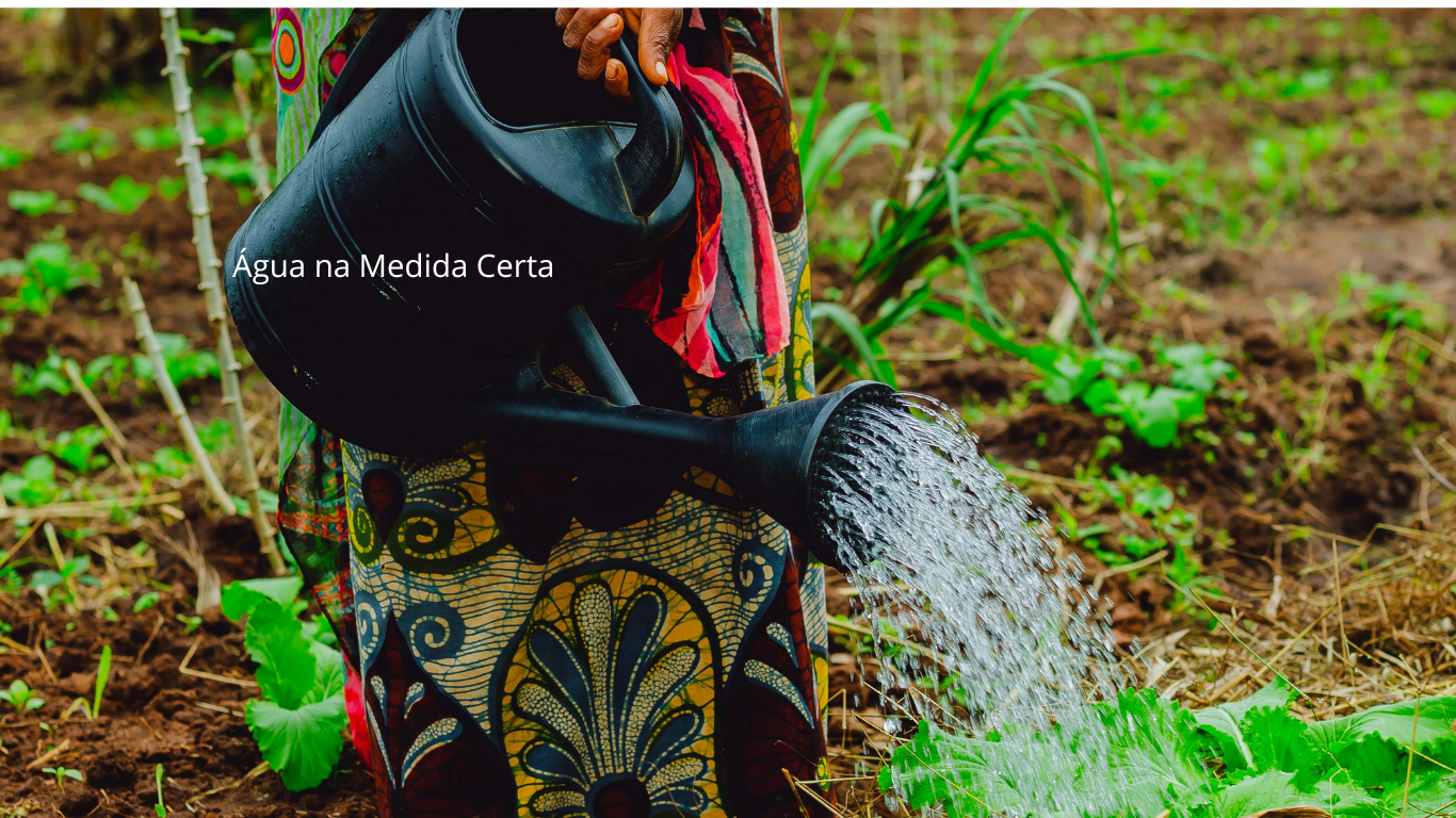 Agua na Medida Certa 1lentehumana
