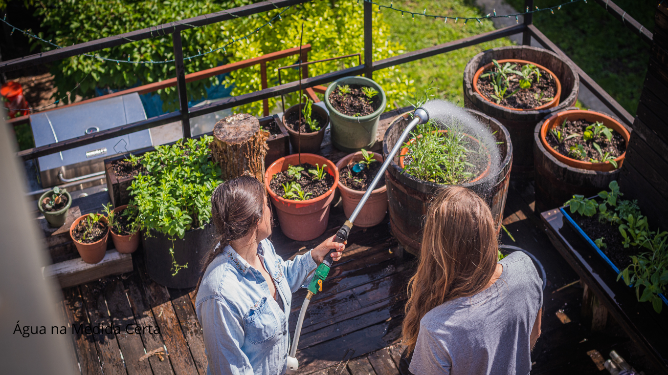 Água na Medida Certa
