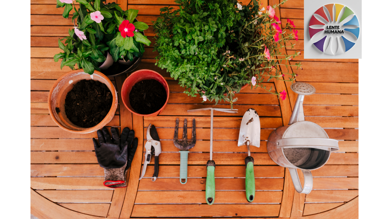 Ferramentas do Jardineiro Urbano - O Que Você Realmente Precisa Ter 2lentehumana Ferramentas do Jardineiro