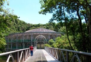 rss featured 964 1763668732lentehumana