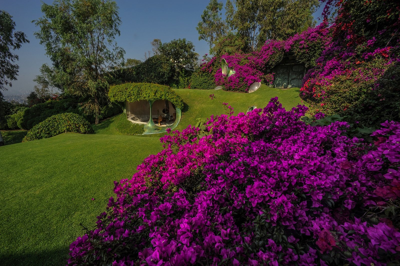 Arquitetura Orgânica: Fundamentos e Projetos Que Respiram - Imagem do artigo original