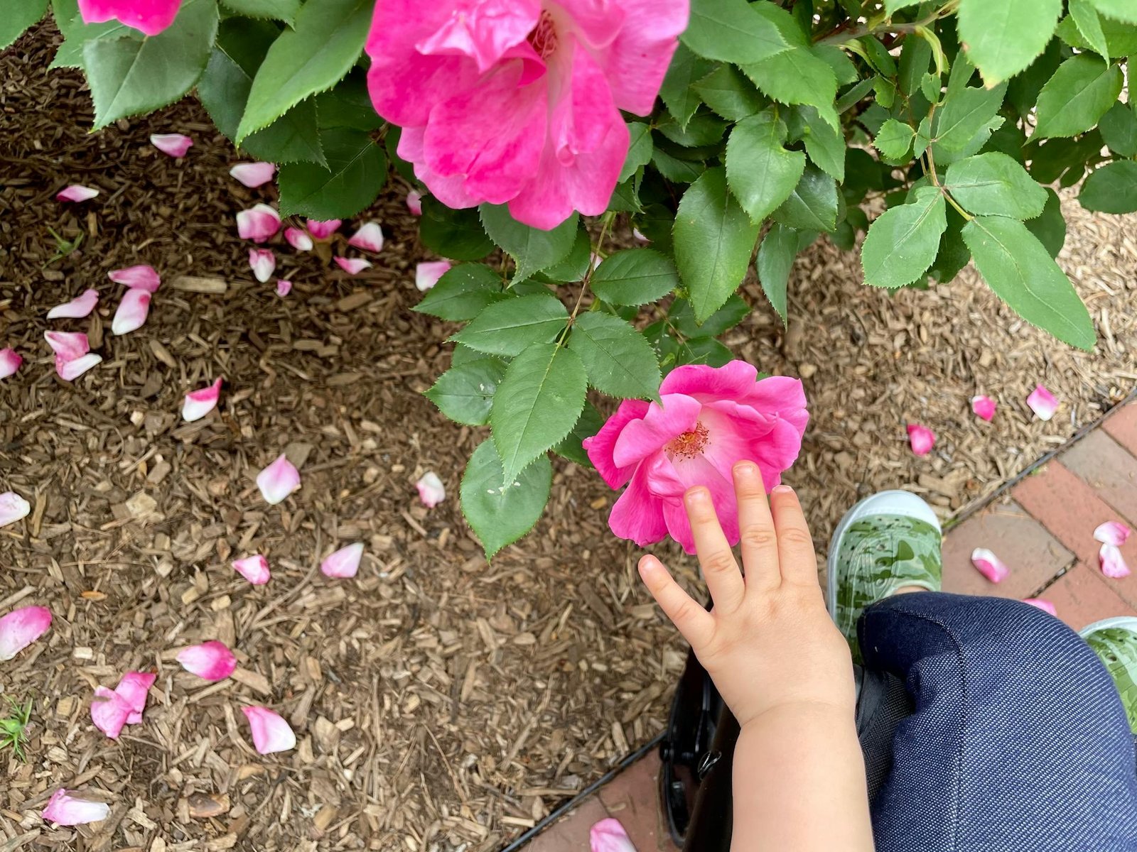 Jardim Sensorial: Como o Paisagismo Estimula os Sentidos - Imagem do artigo original