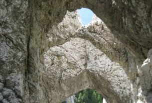 rss featured 1219 1773385850lentehumana