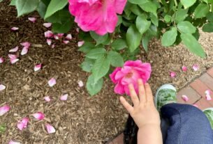 rss featured 1238 1773745852lentehumana